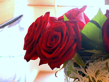 Magnificent roses, sunny, bouquet, roses, gorgeous, magnificent, beautiful, wonderful, special, day, red, birtay, nature, flowers, sun, forever HD wallpaper