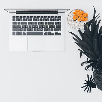 Modern minimalistic desk setup featuring a laptop, pot plant, black pineapple, and decorative spider. HD phone wallpaper