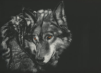 Wolf Painting , wolf, painting, animals, monochrome, black-and-white HD wallpaper