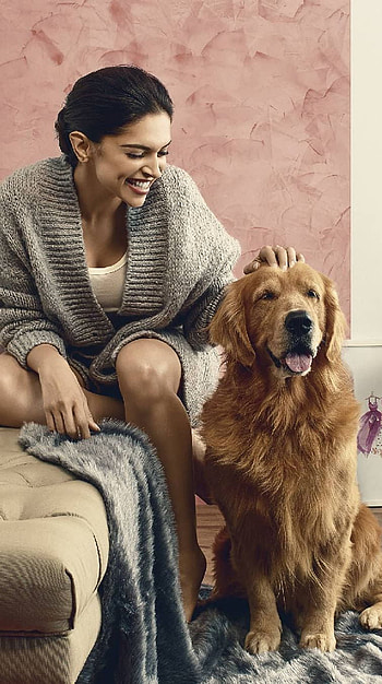 Deepika Padukone, bollywood actress, pet lover HD phone wallpaper
