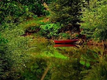 in the green, boat, green HD wallpaper