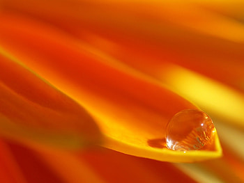 Background, Drops HD wallpaper