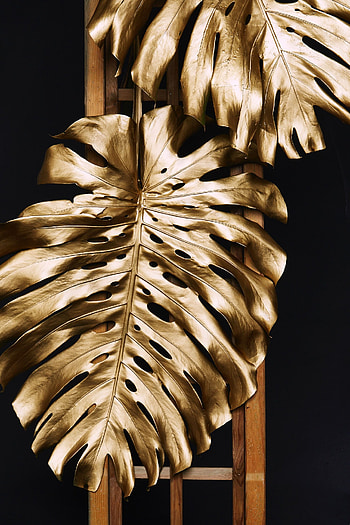 Leaves, Gold, Miscellanea, Miscellaneous, Paint, Golden, Monstera HD phone wallpaper