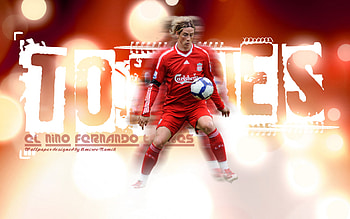 Fernando Torres, Spanish footballer, National team pride, Stunning visuals HD wallpaper