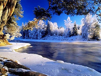 Cold winter day, blue, river, winter, cold, beautiful, scenery, day, snow, trees, sky, water, ice HD wallpaper