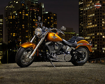 2014 Fatboy, Gold, , Bike, 2014 HD wallpaper