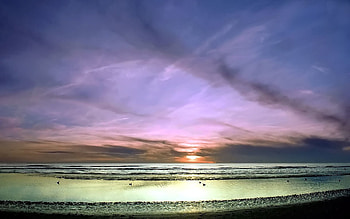 Nature, Birds, Sky, Clouds, Horizon, Shore, Bank, Flight, Ease, Pastel HD wallpaper
