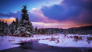 A snowy river and bog in the West Virginia Highlands, winter, snow, clouds, landscape, trees, sky, sunset, usa HD wallpaper