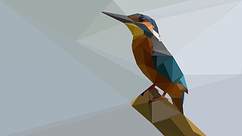 Kingfisher, Facets HD wallpaper