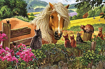 Horses new Neighbors, cute, Cat, Horse, Art HD wallpaper