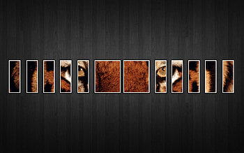 For Fb Cover, Facebook Cover HD wallpaper
