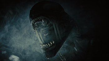 Alien: Romulus – Stunning Ultra, movie, Alien: Romulus HD wallpaper