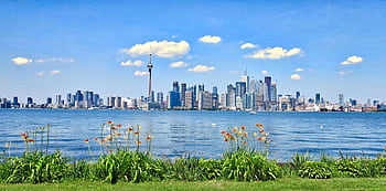 Scenic view of Toronto skyline with CN Tower against a clear blue sky, seen from across the waterfront. HD wallpaper