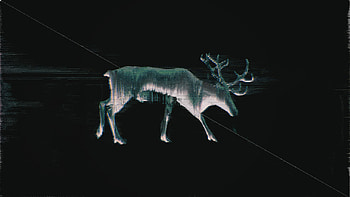 Reindeer Glitch , reindeer, glitch, artist, artwork, digital-art HD wallpaper