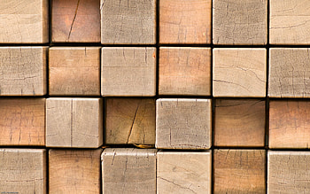Macro, Wood, Tree, Texture, Textures, Squares HD wallpaper
