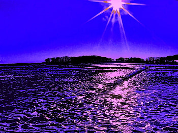 Purple Sunset, purple, waves, light, trees, sky, nature, sun, sunset HD wallpaper