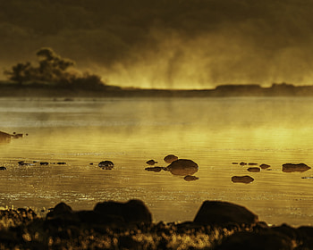 Golden Silence In Morning, morning, nature, sunrise HD wallpaper