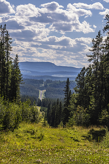 Landscape, Nature, Forest, Overview, Review, Hills, View HD phone wallpaper