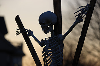 Halloween Skeleton Celebration – Holiday, skeleton, holiday, halloween HD wallpaper