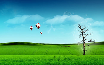 Up In The Sky, baloons, sky blue, green fields HD wallpaper