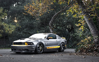 Transport, Auto, Mustang HD wallpaper