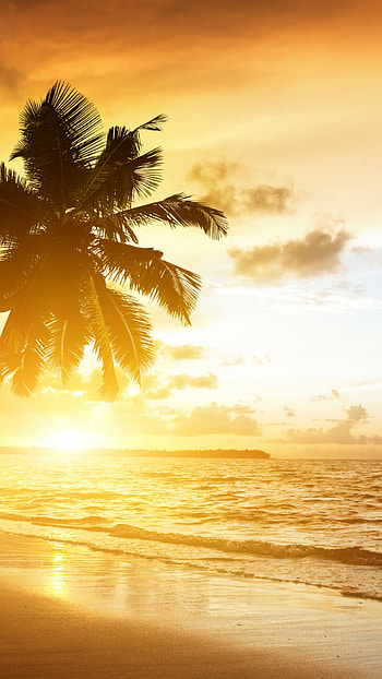 Golden sunrise, Peaceful serenity, Natural splendor, Dawn's beauty HD phone wallpaper