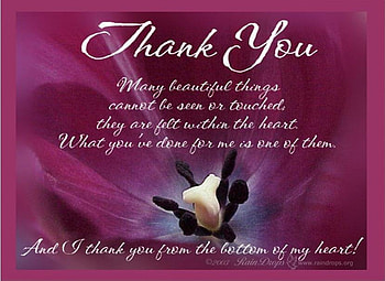 Thank You, rose, verse, flower HD wallpaper