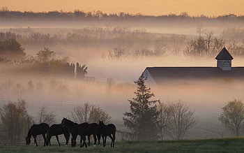 Kentucky travels, Kentucky , Bluegrass state, Southern charm HD wallpaper