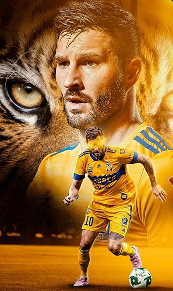 Tigres UANL, gignac, la u de nuevo leon, andre pierre gignac, incomparables, Auriazules, felinos HD phone wallpaper
