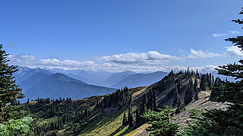 Hurricane Ridge, Olympic National Park, Washington, hills, trees, clouds, sky, rocks, usa HD wallpaper