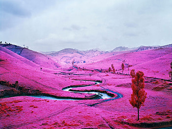 River, valley, pink blossom, landscape HD wallpaper