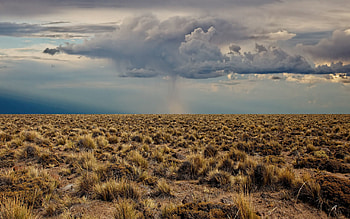 Nature, Clouds, Desert, Vegetation, Before The Rain HD wallpaper