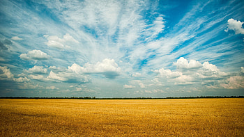 Grassland, Farms HD wallpaper