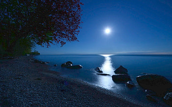 Beautiful View, blue, Beautiful, trees, sky, nature, sunset, ocean, beach HD wallpaper