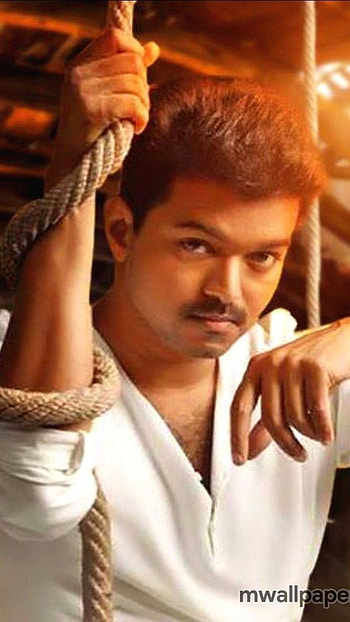 Vijay Mass, Vijay Thalapathy, Kollywood Star HD phone wallpaper