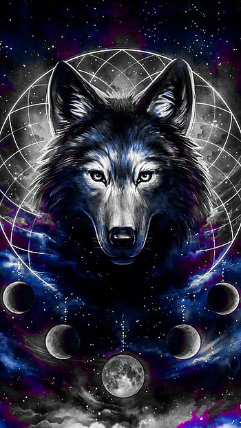 GALAXY WOLF, Cool Galaxy Wolf HD phone wallpaper
