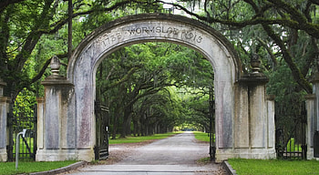 Savannah, Georgia, Plantations HD wallpaper