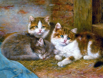Kittens, love four seasons, animals, cats, draw and paint, cute, paintings, lovely HD wallpaper