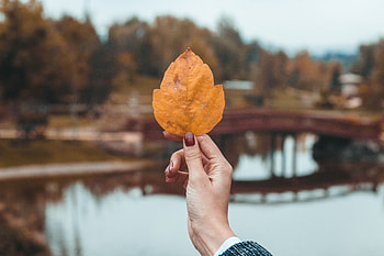 Autumn, Hand, Miscellanea, Miscellaneous, Leaflet, Fingers HD wallpaper