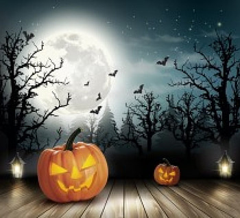 Halloween, pumpkin, trees, moon HD wallpaper