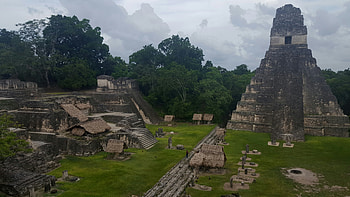 Tikal National Park, Central American heritage, Ancient Mayan city, Biodiversity hotspot HD wallpaper