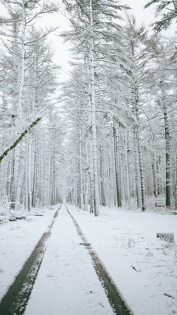 Winter Background, Snow Road HD phone wallpaper