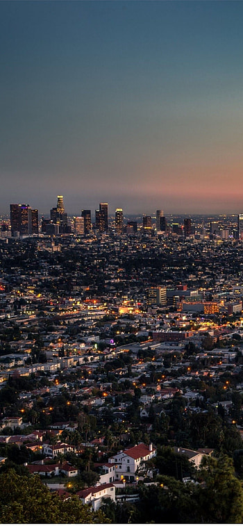LA Landmarks, Urban Jungle, The Hollywood Sign, Sunset Boulevard HD phone wallpaper