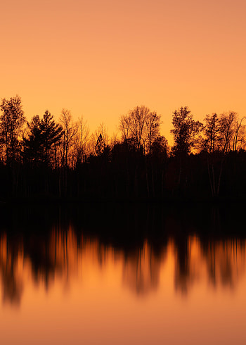 Nature, Water, Trees, Sunset, Twilight, Reflection, Dusk HD phone wallpaper