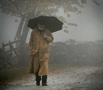 autumn rain, autumn, people, rain, graphy HD wallpaper