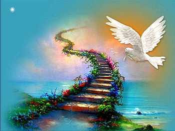A DOVES PATH, bird, path, steps, sky, flowers, doves HD wallpaper