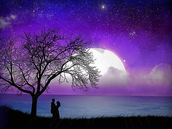 Love, couple, abstract, moon HD wallpaper