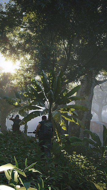 Ghost Recon: Wildlands, Gaming HD phone wallpaper