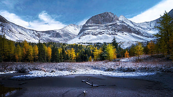 Fresh snow and golden larches, Alberta, fall, colors, landscape, clouds, trees, sky, canada, lake, ice HD wallpaper