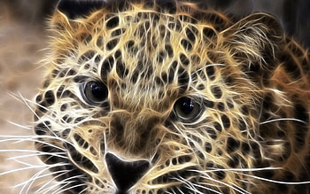 Animals, Art, Leopards HD wallpaper